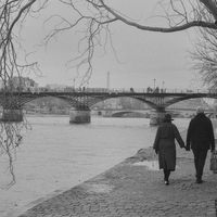 Paris en Seine