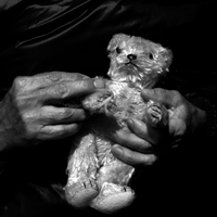 The Toys
