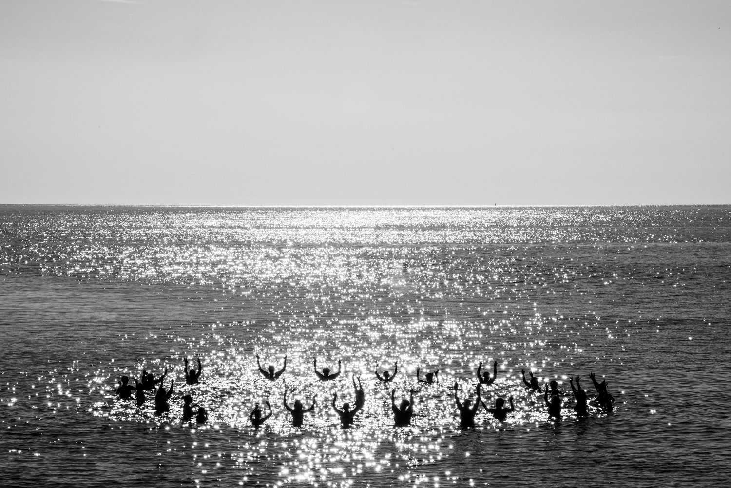 Polar Bears. Inkwell Beach. Oak Bluffs, MA