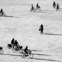 Bicyles on the Playa