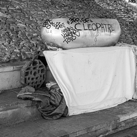La Vie au som / Life on the ground