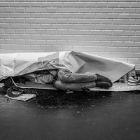La Vie au som / Life on the ground