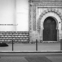 La Vie au som / Life on the ground