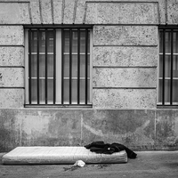 La Vie au som / Life on the ground