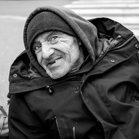 La Vie au som / Life on the ground