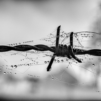 Waterstorys