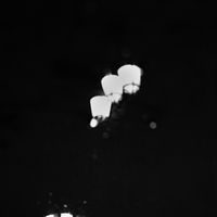 People in the dark