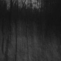 Unveiled Layers 