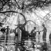 Nurtured by the Mangroves