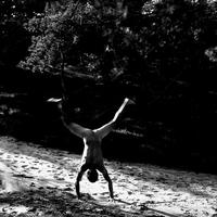 Primitive Harmony