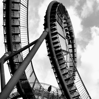 Tiger and Turtle