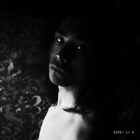 Adam 亚当