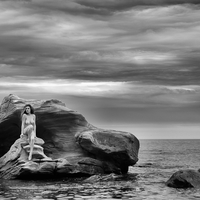 A siren