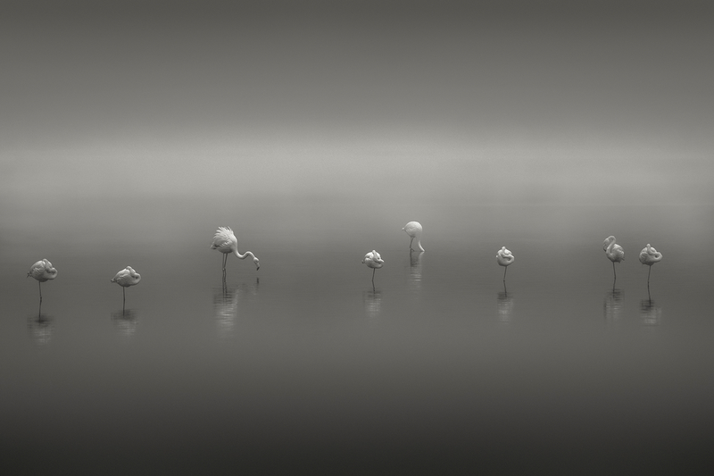 The Gathering