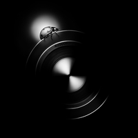 When nature meets technics - A macroworld beyond everyday experience
