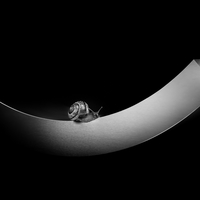 When nature meets technics - A macroworld beyond everyday experience