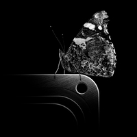 When nature meets technics - A macroworld beyond everyday experience