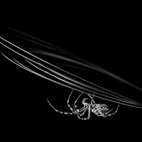 When nature meets technics - A macroworld beyond everyday experience