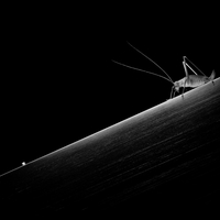 When nature meets technics - A macroworld beyond everyday experience
