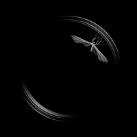 When nature meets technics - A macroworld beyond everyday experience