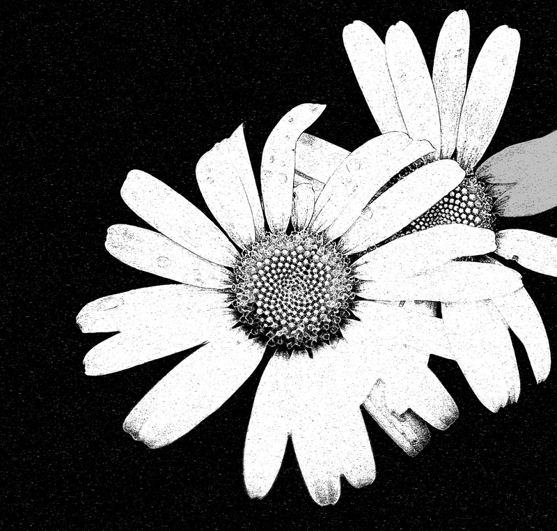 Symbiosis.