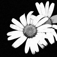 Symbiosis.