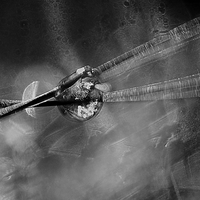 Water drop on straw.