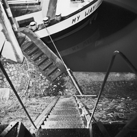 Night Harbor