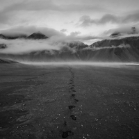 Footprints in the sand