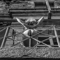 La Lumière des Ombres