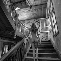 La Lumière des Ombres