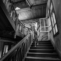 La Lumière des Ombres