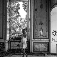 La Lumière des Ombres