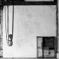 STILL LIFE - STILL ALIVE