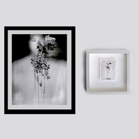 The Understory II