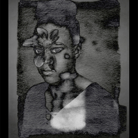 The Understory II