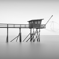 Serpent d'Ocean 