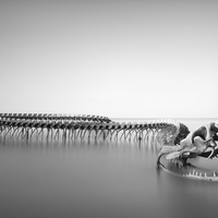 Serpent d'Ocean 
