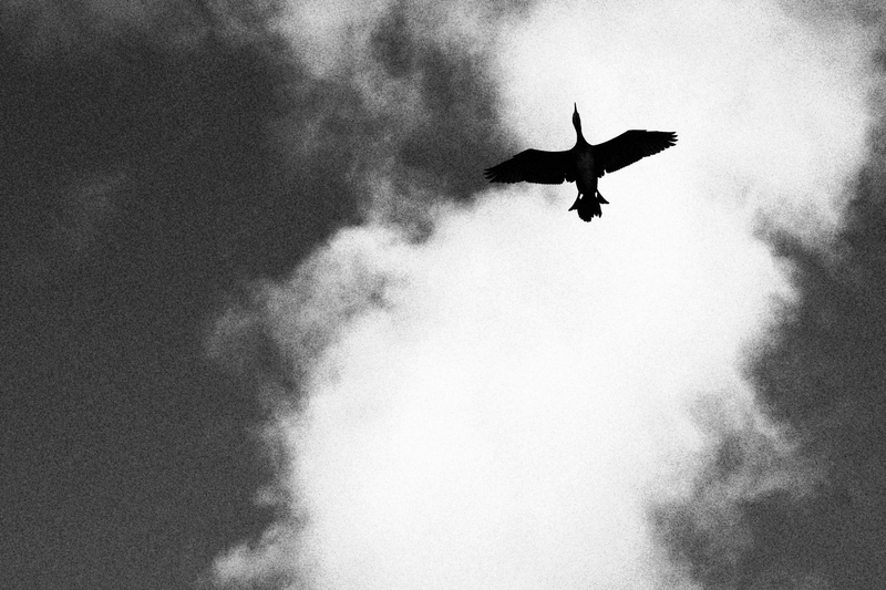 A B&W Minimalist Travel in the Land's end