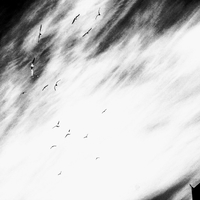 A B&W Minimalist Travel in the Land's end