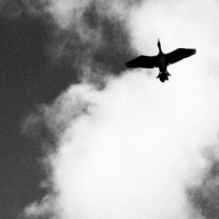 A B&W Minimalist Travel in the Land's end