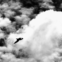 A B&W Minimalist Travel in the Land's end