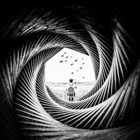 Fine art Photography