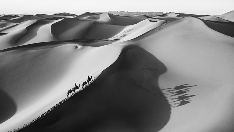 Shadows of the Gobi