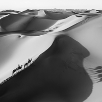 Shadows of the Gobi