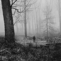 Misty Morning