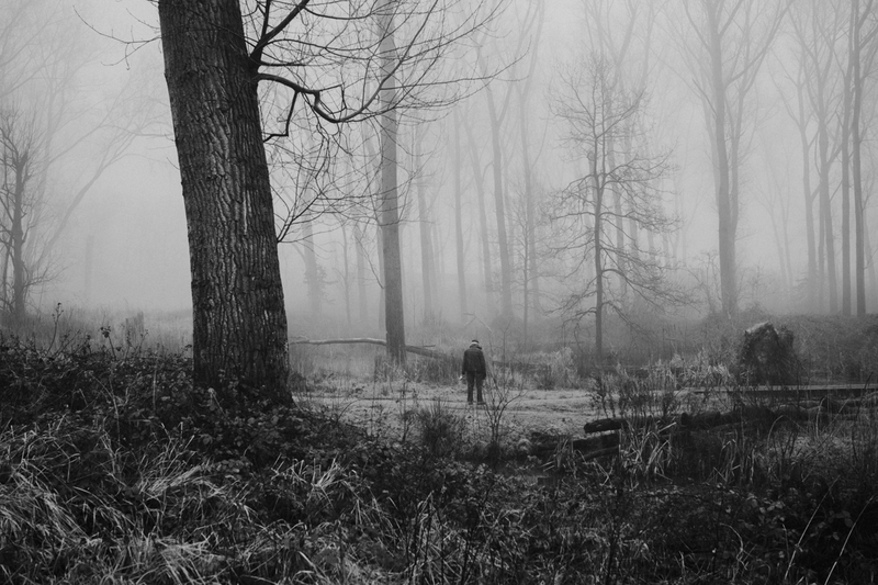 Misty Morning