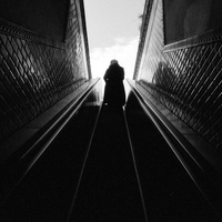 Shadow & Light