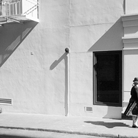 Shadow & Light