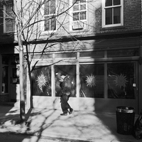 Shadow & Light